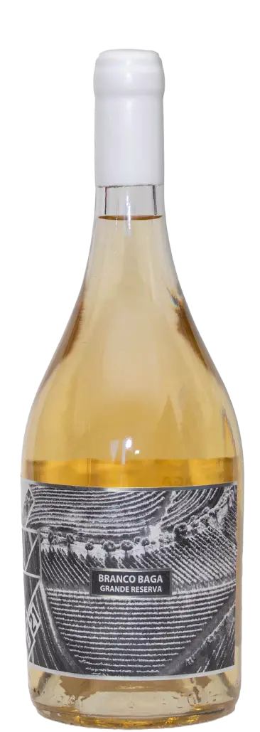 Branco Baga Grande Reserva 2023